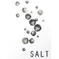 Logo-Salt